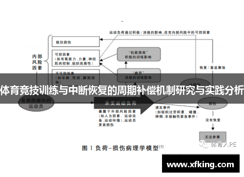 体育竞技训练与中断恢复的周期补偿机制研究与实践分析